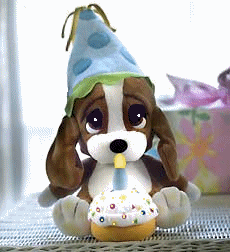 Gif 23