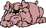 Gif 278