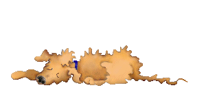 Gif 58