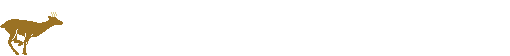 Gif 33