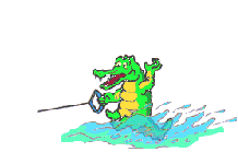Gif 24