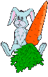 Gif 297