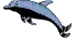 Gif 01