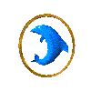 Gif 05