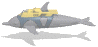 Gif 43
