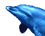 Gif 56