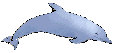 Gif 60