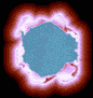 Gif 62