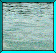 Gif 71