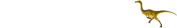 Gif 01