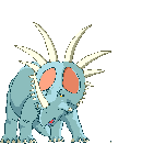 Gif 05