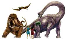 Immagine 106 Dinosauri