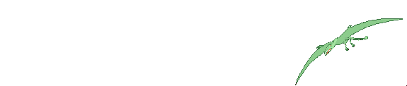 Gif 79