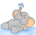 Gif 02