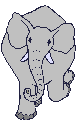 Immagine 15 Elefanti