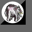 Immagine 42 Elefanti