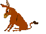Gif 03