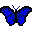 Gif 11