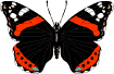 Gif 12