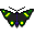 Gif 120