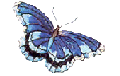 Gif 14