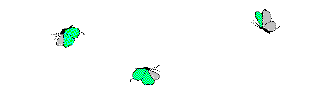 Gif 171