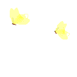 Gif 174