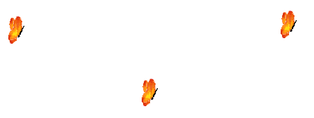 Gif 177