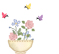 Gif 205