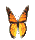 Gif 258