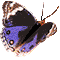Gif 262