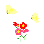 Gif 266
