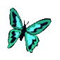 Gif 270