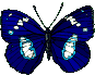 Immagine 274 Farfalle