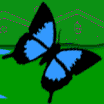 Immagine 275 Farfalle