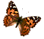 Gif 301
