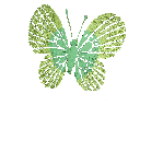 Gif 304