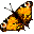 Gif 313