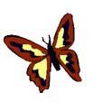 Gif 332