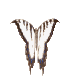 Gif 35