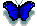 Gif 37