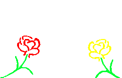 Gif 42