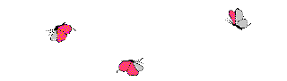 Gif 56