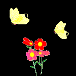 Gif 64