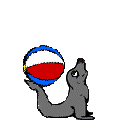 Gif 34