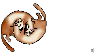 Gif 12