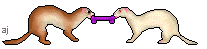 Gif 15