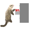 Gif 19
