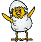 Gif 01