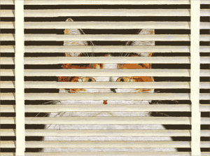Gif 127
